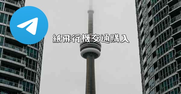 紙飛行機交通購入