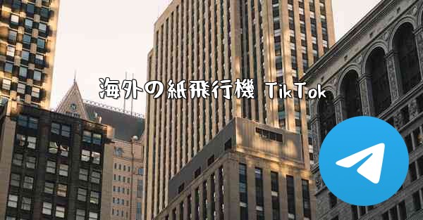海外の紙飛行機 TikTok