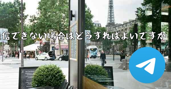 Paper Plane でビデオを送信できない場合はどうすればよいですか