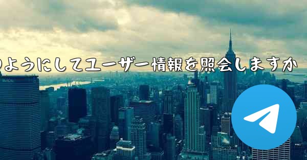 Paper Plane はどのようにしてユーザー情報を照会しますか