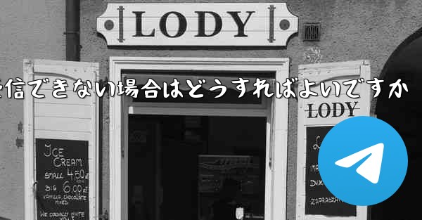 Paper Plane の国内携帯電話番号で認証コードを受信できない場合はどうすればよいですか