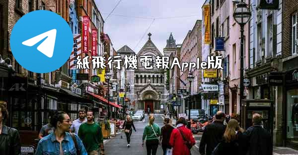 紙飛行機電報Apple版