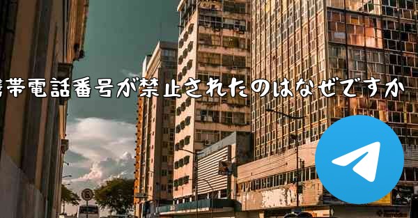 <b>Paper Plane の携帯電話番号が禁止されたのはなぜですか</b>