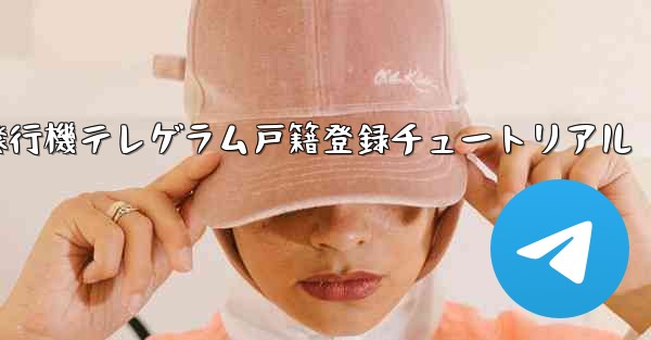 紙飛行機テレゲラム戸籍登録チュートリアル