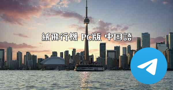 紙飛行機 PC版 中国語