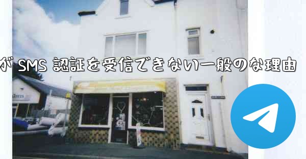 Paper Plane が SMS 認証を受信できない一般のな理由