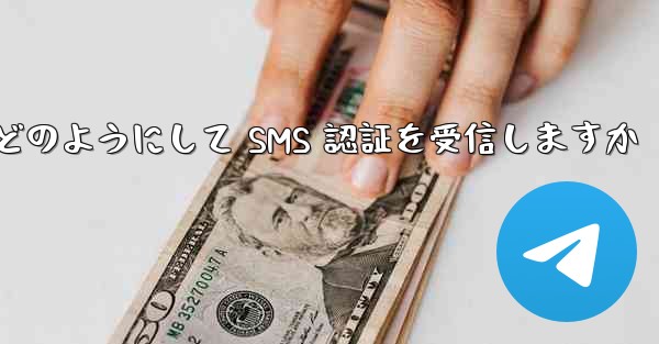 Paper Plane はどのようにして SMS 認証を受信しますか