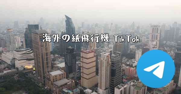 <b>海外の紙飛行機 TikTok</b>