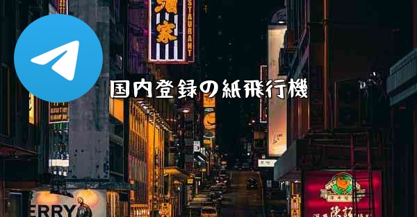 国内登録の紙飛行機