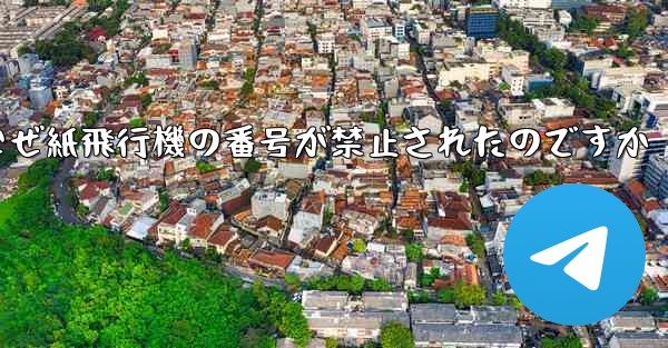 なぜ紙飛行機の番号が禁止されたのですか