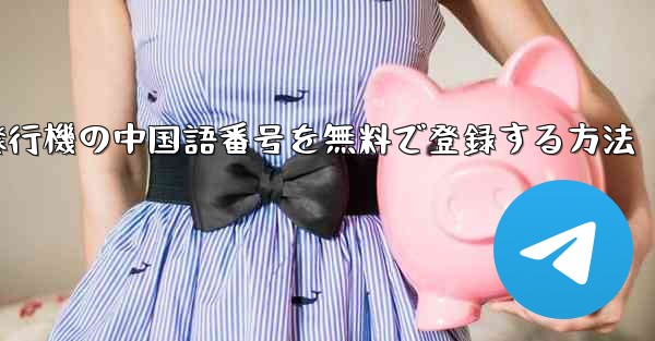 紙飛行機の中国語番号を無料で登録する方法