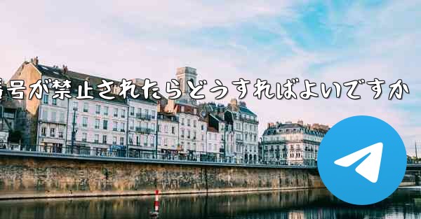 私の紙飛行機の携帯電話番号が禁止されたらどうすればよいですか