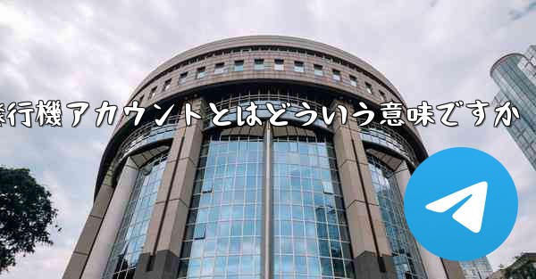 紙飛行機アカウントとはどういう意味ですか