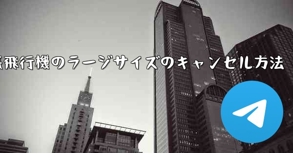 <b>紙飛行機のラージサイズのキャンセル方法</b>