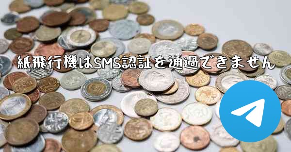 紙飛行機はSMS認証を通過できません