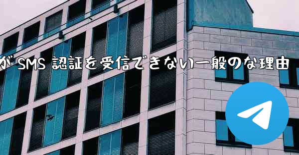 Paper Plane が SMS 認証を受信できない一般のな理由