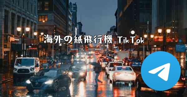 海外の紙飛行機 TikTok