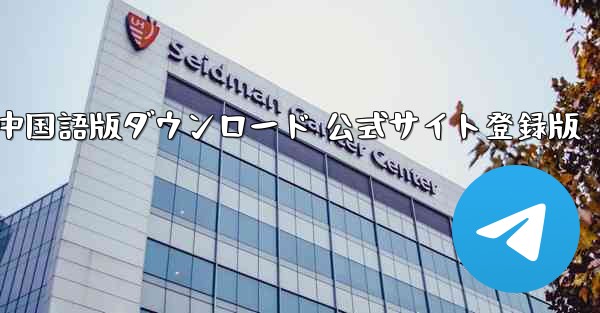 Paper Plane 中国語版ダウンロード 公式サイト登録版