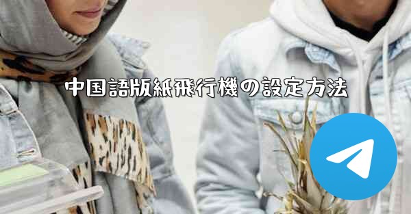 中国語版紙飛行機の設定方法