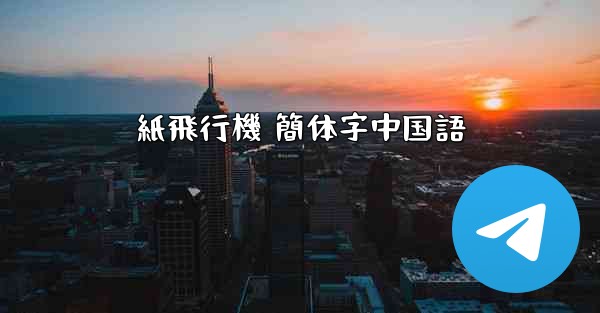 紙飛行機 簡体字中国語