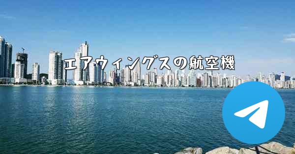 <b>エアウィングスの航空機</b>