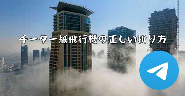 <b>チーター紙飛行機の正しい折り方</b>