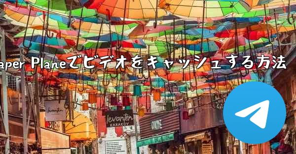 Paper Planeでビデオをキャッシュする方法