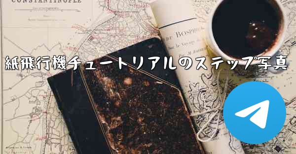 <b>紙飛行機チュートリアルのステップ写真</b>