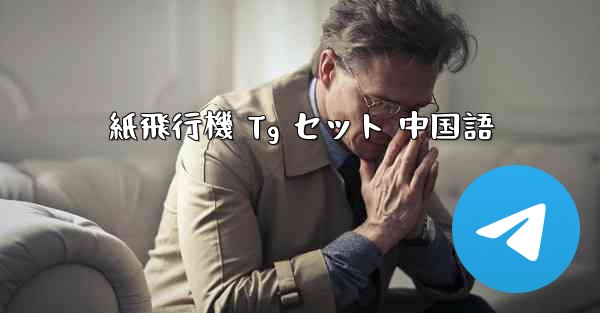 紙飛行機 Tg セット 中国語
