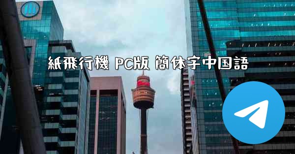 紙飛行機 PC版 簡体字中国語