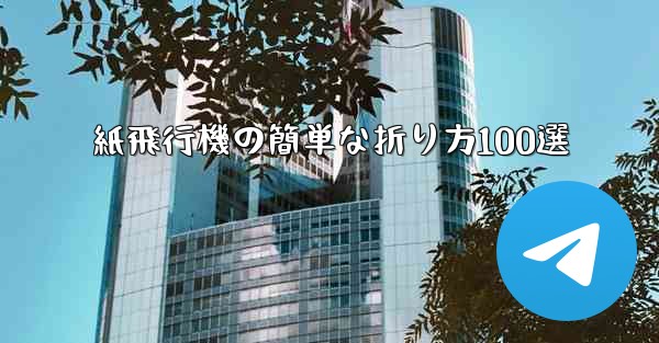 <b>紙飛行機の簡単な折り方100選</b>