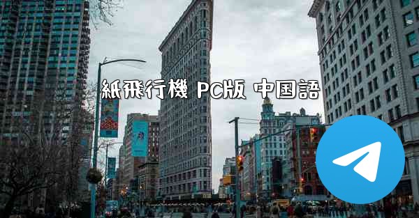 紙飛行機 PC版 中国語