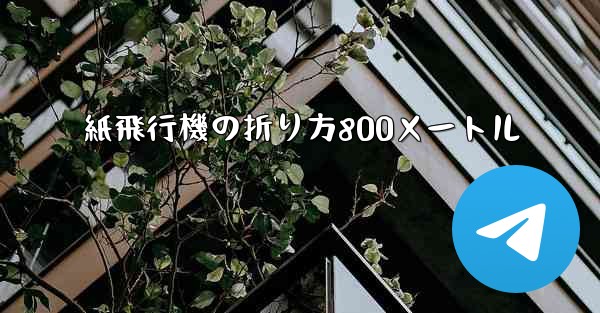 紙飛行機の折り方800メートル