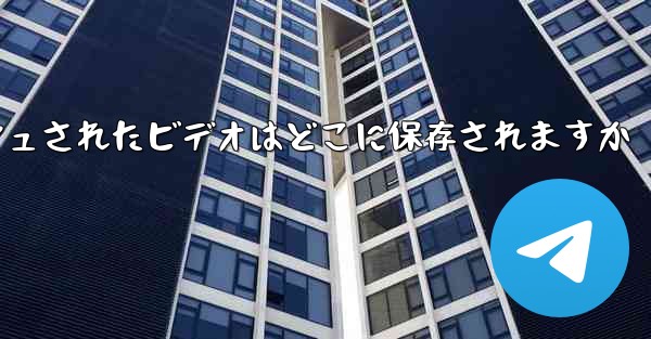 <b>Paper Plane のキャッシュされたビデオはどこに保存されますか</b>