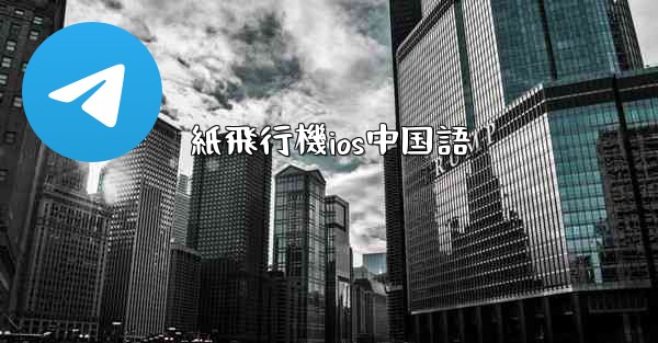 紙飛行機ios中国語