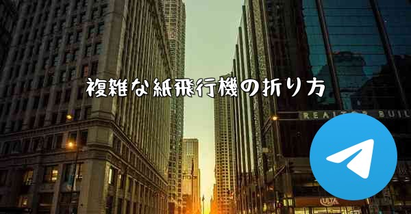 <b>複雑な紙飛行機の折り方</b>