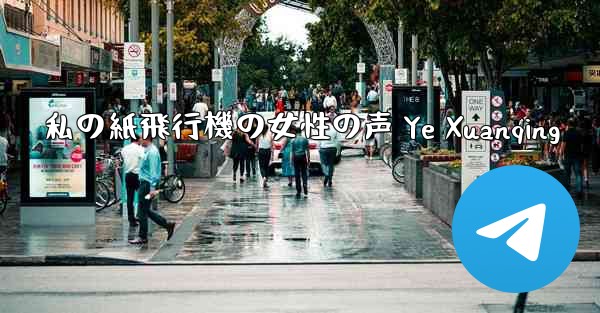 <b>私の紙飛行機の女性の声 Ye Xuanqing</b>