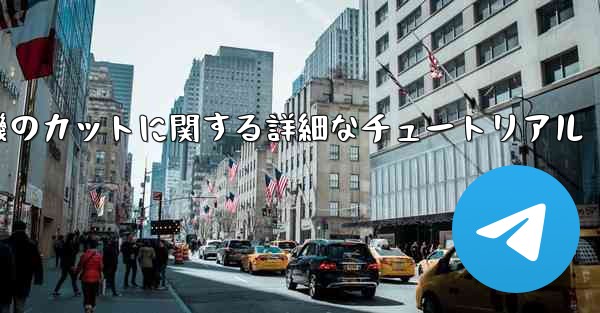 <b>ティッシュペーパー飛行機のカットに関する詳細なチュートリアル</b>