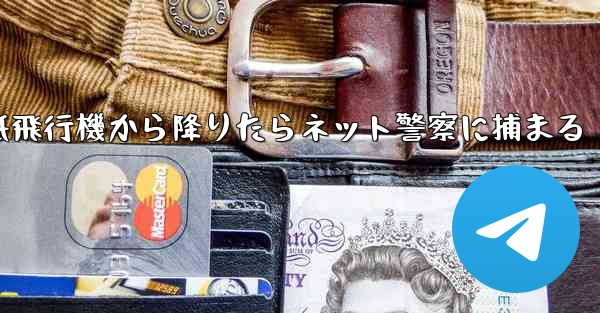 <b>紙飛行機から降りたらネット警察に捕まる</b>