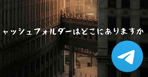 紙飛行機のキャッシュフォルダーはどこにありますか