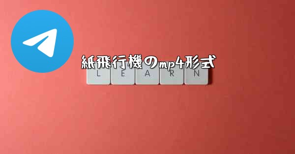 紙飛行機のmp4形式