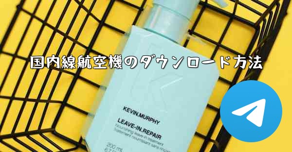 国内線航空機のダウンロード方法