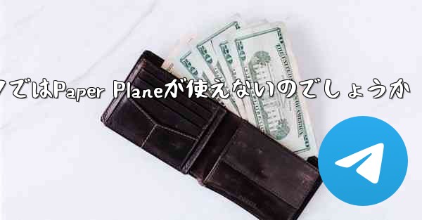 なぜ国内ネットワークではPaper Planeが使えないのでしょうか