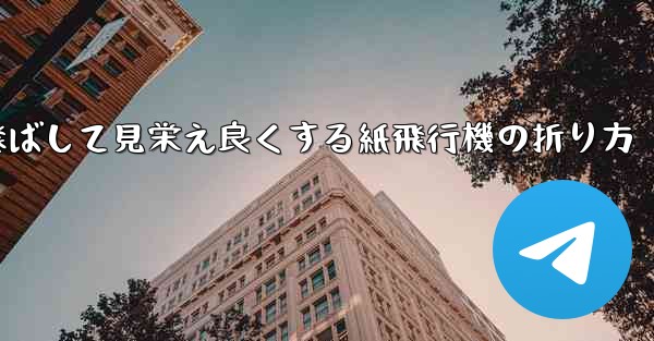 <b>一番遠くまで飛ばして見栄え良くする紙飛行機の折り方</b>