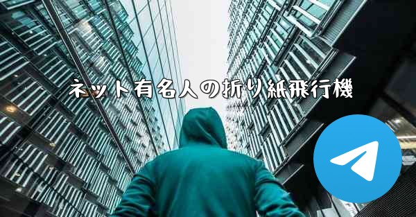 ネット有名人の折り紙飛行機