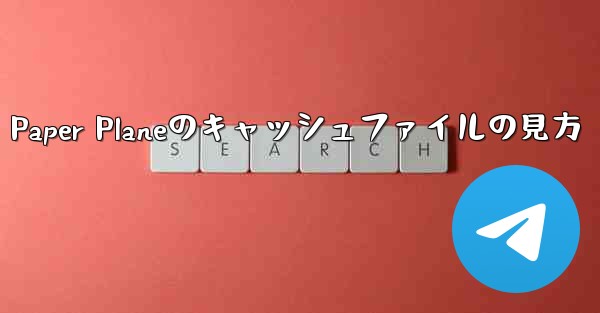 <b>Paper Planeのキャッシュファイルの見方</b>