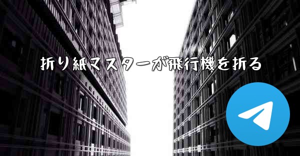 折り紙マスターが飛行機を折る