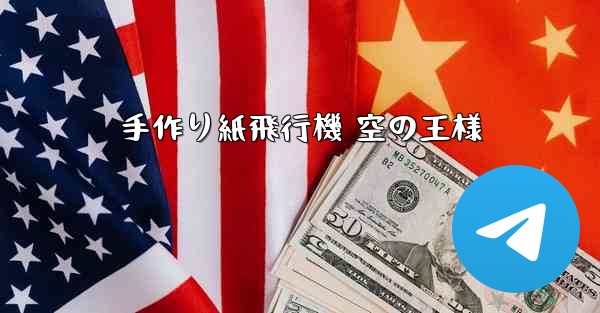手作り紙飛行機 空の王様