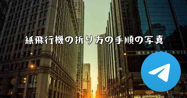 紙飛行機の折り方の手順の写真