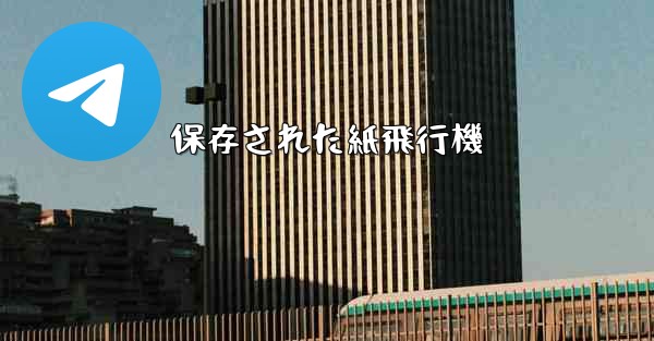 保存された紙飛行機